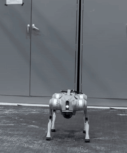 Unitree Go2 Edu Quadruped Robot